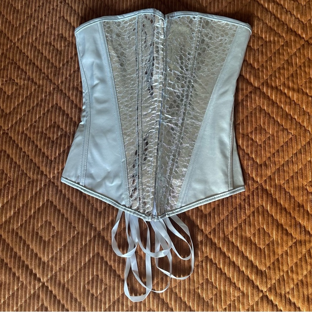 Silver Snakeskin Corset